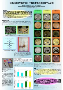 日本沿岸に生息するヒトデ類の有効利用に関する研究